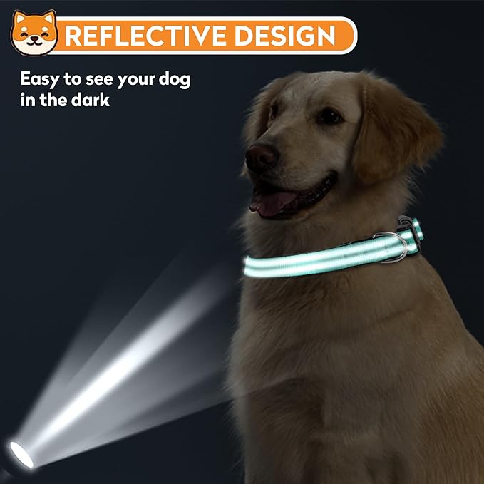 Reflective Dog Collar, Adjustable Soft Neoprene Padded Nylon Pet Collars with Buckle for Puppy and Small Dogs, Cats, Teal,XS