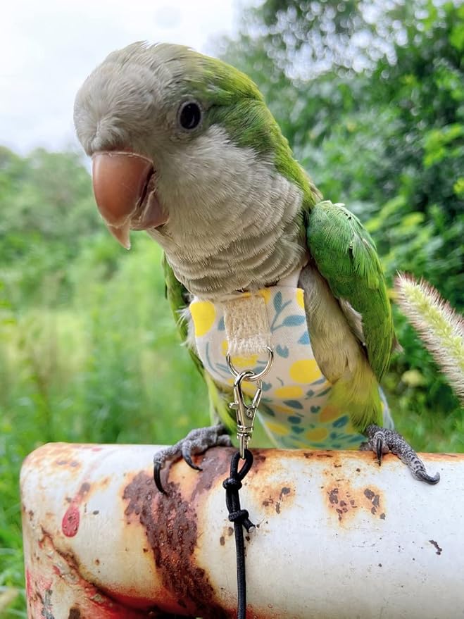 Bird Diaper Harness Flight Suit Clothes, Parrot Flight Suit with Leash, Bird Flying Clothes with Rope and Handle for Outdoor Activities Training (Yellow with Leash,Large)