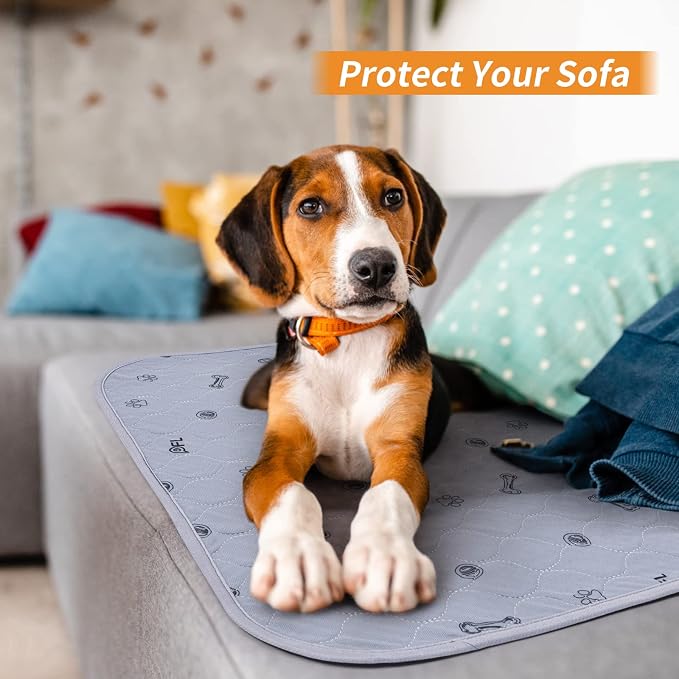 Washable Pee Pads for Dogs, 2 Pack 36x48 Non-Slip, Absorbent Dog Mats | Reusable, Whelping Pads, Pet Mats Floor Protector for Couch Cover, Crate, Potty Training, Senior Dog, Housebreaking
