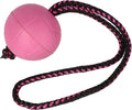 Dingo BIBI Ball for Dog Training, Floating, Retrieving Toy for Dog, Soft Rubber and Rope Handle, Pink Color 17251