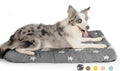 Mora Pets Dog Crate Pad Dog Kennel Bed Mat for Large Dogs Washable Cute Star Pet Bed for 36 inch Cage Ultra Soft Flat Puppy Cat Cushion for Cozy Sleeping Anti-Slip Grey 36 x 23 | Soft Dog Bed Mat, Crate Pad for Dog Cages Cozy Sleeping Liner, Pet Pillow...