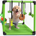 Race&Herd 19.5" Puppy Play Gym — Small Dog Jungle Activity Mat (Lime) | Dog Play Mat with 8 Bungee Straps, Interactive Puppy Active Toys — Indoor Enrichment Playground Set