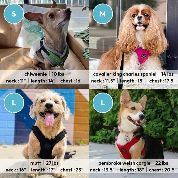 Gooby Escape Free Sport Dog Harness, Choke-Free, Pink, Large | Patented escape-free frame; Reduces choking; 4-point adjustment; Soft neoprene padding; Durable webbed straps