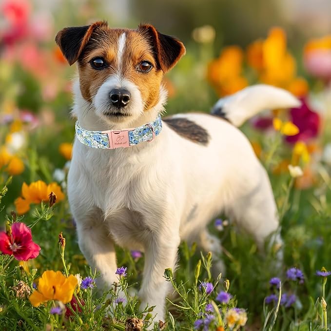 Blueberry Garden Dog Collar, Spring/Summer Cottagecore Floral Dog Collars, Adjustable Heavy Duty Girl Dogs Collar for Small Medium Large Dogs with Metal Buckle M
