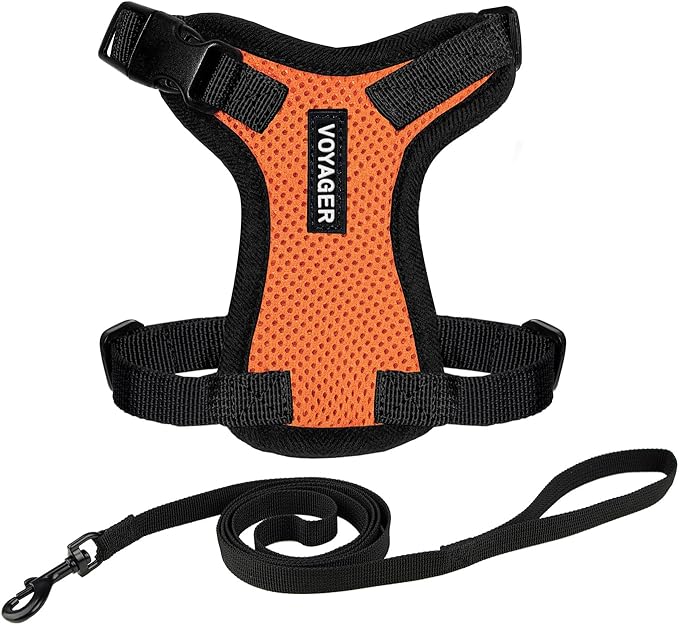 Voyager Step-in Lock Adjustable Cat Harness w. Cat Leash Combo Set with Neoprene Handle 5ft - Supports Small, Medium and Large Breed Cats by Best Pet Supplies - Orange/Black Trim, XXXS