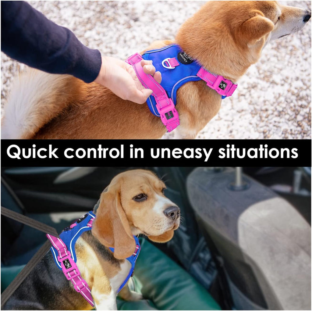 PHOEPET No Pull Dog Harness, Unique Colors Reflective Adjustable Dog Vest, with Soft Training Handle Metal Clips for Small Medium Large Dogs (Royal Blue Base & Pink Straps,XL)