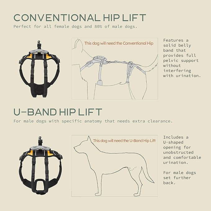 Help 'Em Up® - Dog Lift Harness│ Adjustable Lifting Harness for Dogs │ Full Body Support, Rear Leg Support (Conventional, Large, 80-125 lbs)
