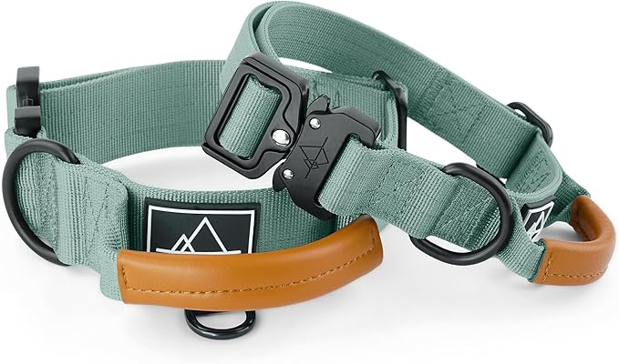 Made to ROAM Premium Explorer Control Collar - Adjustable Heavy Duty Nylon Dog Collar with Quick-Release Metal Buckle and Leather Handle (Florida Seaside, Size 2, Control)