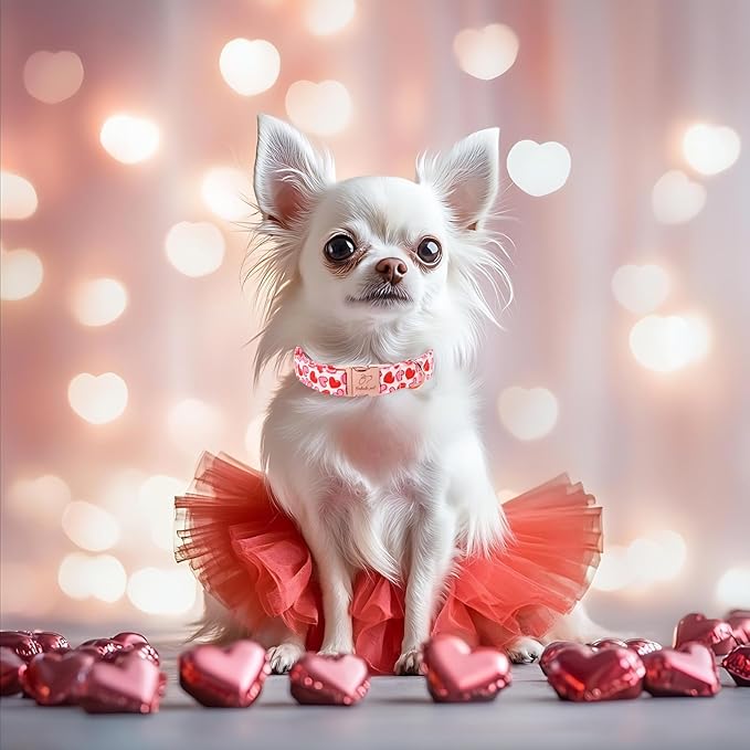 Valentines Dog Collar, Pink Heart Print Girl Dog Collars, Cute Valentine Puppy Collars, Adjustable Heavy Duty Pet Collar for Small Medium Large Dogs with Metal Buckle XS
