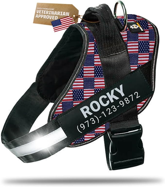 Personalized Dog Harness with Custom Name Patches, Adjustable Reflective No Choke Dog Vest with Handle for Small Dogs and Growing Puppy, US Flag, XS