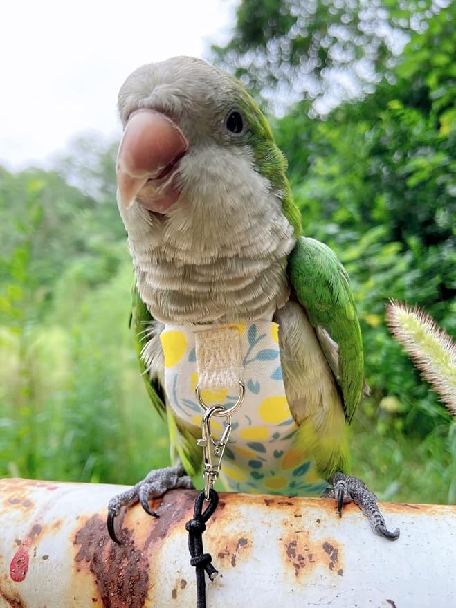 Bird Diaper Harness Flight Suit Clothes, Parrot Flight Suit with Leash, Bird Flying Clothes with Rope and Handle for Outdoor Activities Training (Yellow Without Leash,Large)