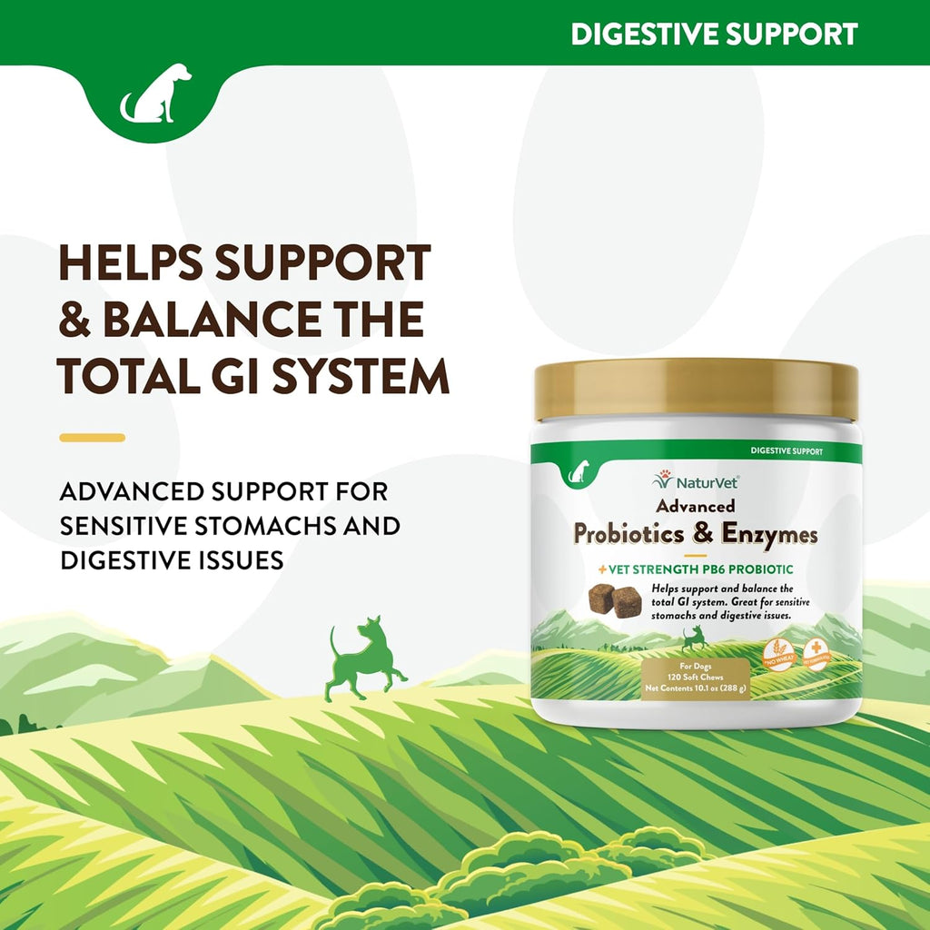 NaturVet Advanced Probiotics & Enzymes, PB6 Dog Soft Chews to Help Sensitive Stomachs and Digestive Issues, Hickory Smoked Bacon Flavored Pet Supplement for Dogs Over 6 Weeks, 120 Count Jar