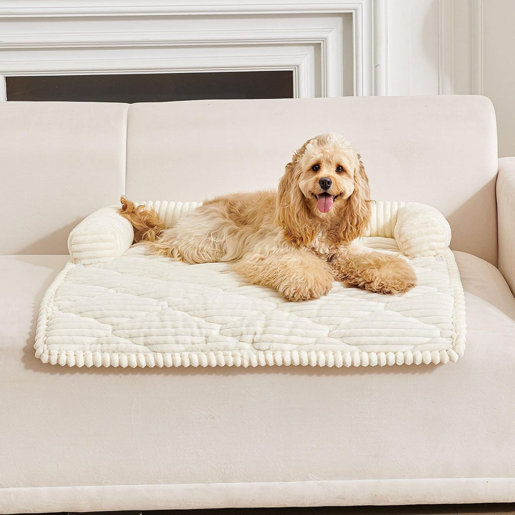 HAOMAIJIA Dog Couch Bed for Small Dogs, Non Slip Pet Couch Covers for Sofa Thick Soft Washable Dog Couch Cover Protector All Seasons Universal Dogs and Cats Bed Mat (Off White, Small)