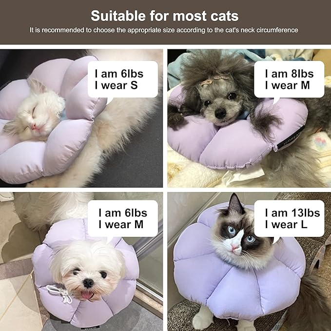 Cat Cone Collar,Cute Waterproof Cat Recovery Collar,Anti-Bite Lick Wound Healing Safety Elizabethan e Collar for Cats,Purple Flower All-Season Style…