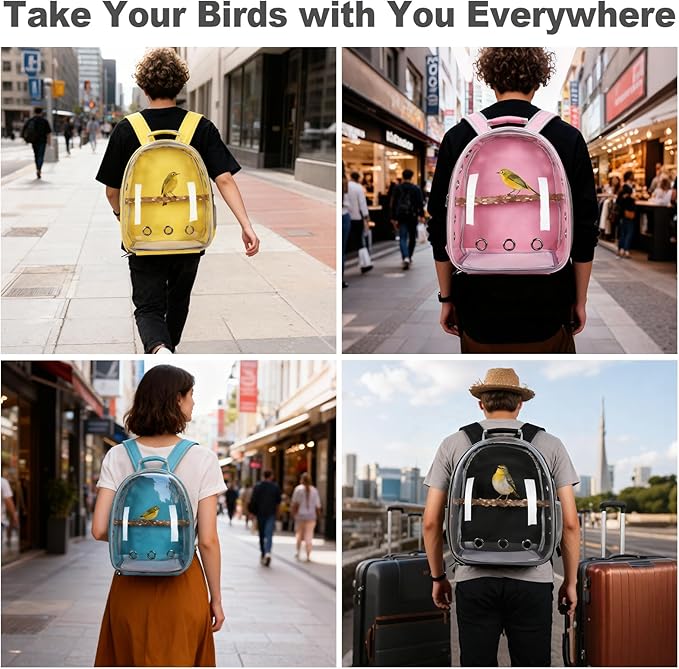 Bird Carrier Backpack with Wood Perch, Transparent Bird Travel Cage, Portable Pet Carrier Backpack, Breathable Hangbag for Vet Transport Camping Hiking (Grey)