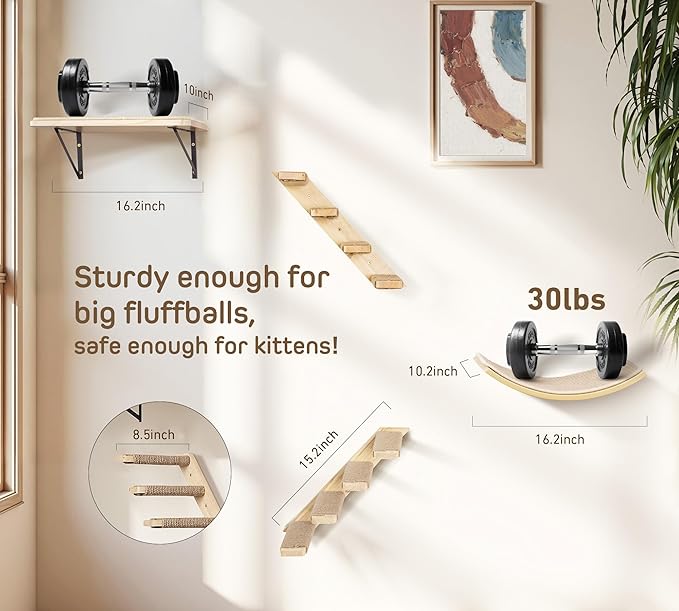 Wall Mounted Cat Shelves Set for Large Cats, 4 Piece Wood Cats Wall Furniture with Sisal-Padded Bed, Flat Perch and 2 Climbing 4-Steps Stairs