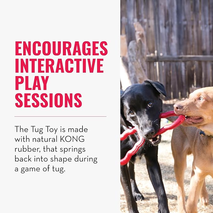 KONG Tug Toy - Dog Supplies for Tug of War - Natural Rubber Dog Toy for Outdoor & Indoor Playtime - for Medium/Large Dogs
