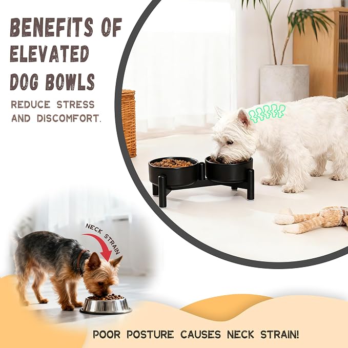 Raised Ceramic Dog Bowl Set with Stand, 1.6 Cups Elevated Dog Food Stand | 5.1'' Double Dog Food and Water Bowl Set, Non-Slip Dog Feeding Dishes for Small Breeds and Cats, 10.8 OZ, White