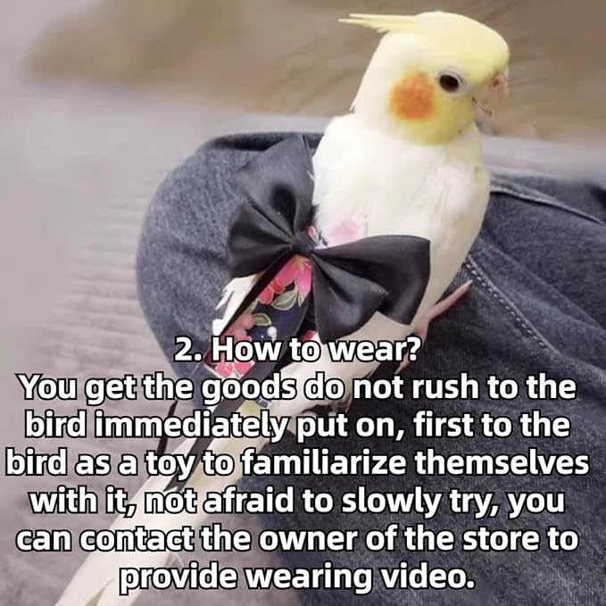 Bird Diaper Parrot Washable Diapers, Parrot Flight Suit, Reusable Nappies for Parakeet Cockatiel Mini Macaw Budgie Conure Lovebird (Black,L)