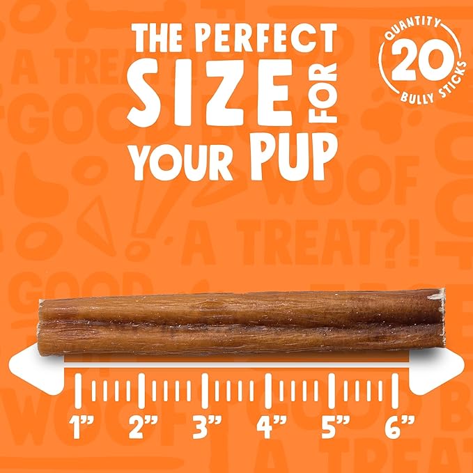 6 Inch Bully Sticks for Small Dogs | Odorless High Protein Single Ingredient Dog Treat (20 Pack)