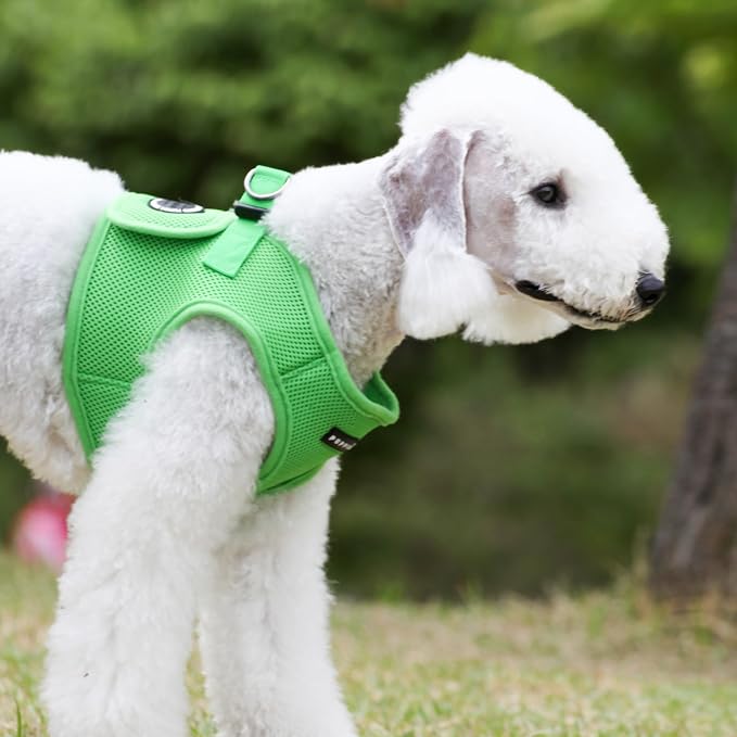 Puppia Soft Vest Dog Harness Step-in Padded Mesh No Choke No Pull Comfortable Walking Running Training for Small Medium Large Dogs, Green, XXX-Large