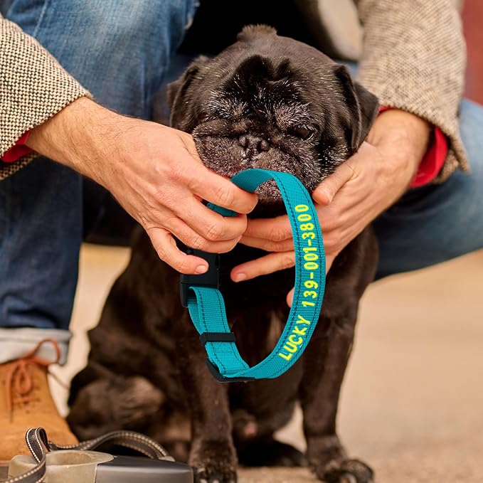 Personalized Embroidered Dog Collar - Custom Hand-Stitched Name & Number, Reflective Adjustable Pet Collar for Small/Medium/Large Dogs & Cats, Durable Nylon with Steel D-Ring (Sky Blue, Large)