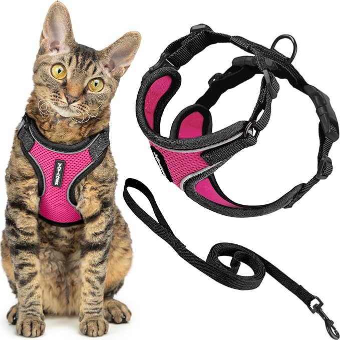 Voyager Escape Proof Cat Harness and Leash Set with Reflective Stitching, Neoprene Handle 5ft - Supports Small, Medium and Large Cats, Kittens for Walking by Best Pet Supplies - BT-Fuchsia, XXXS
