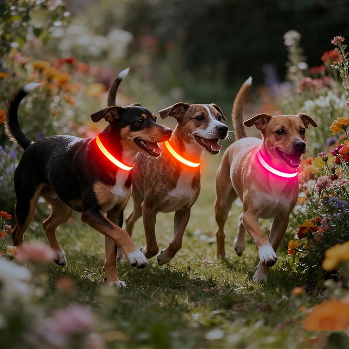 Vizpet LED Dog Collar, Light Up Dog Collar Adjustable USB Rechargeable Super Bright Safety Light Glowing Collars for Dogs (X-Large, Pink)