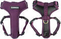 Adventure Dog Harness - Stylish, and Durable Large Dog Harness for Outdoor Adventures and Everyday Wear - Plum Purple Neoprene Adjustable Harness for Dogs with Reflective Piping, Brass D-Ring