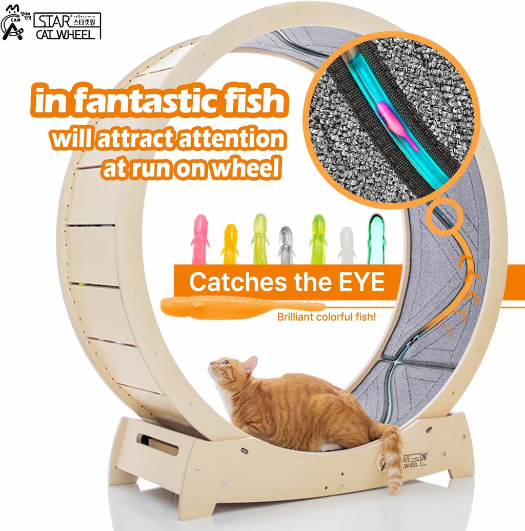 Star Cat Wheel, Cat Treadmill, Exercise Wheel for Running, Spinning, Scratching, and Climbing for Indoor Cats, Premium Birch Wood, Eco-Friendly, Moving Fish, Wide Running Track, 41.7 inch L Size