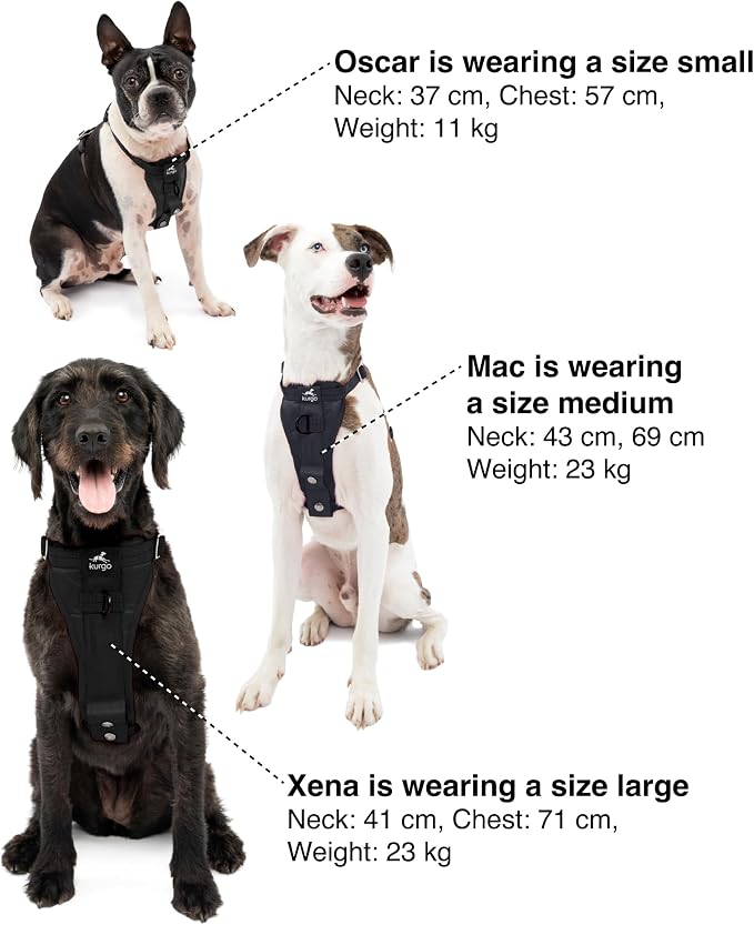 Kurgo Enhanced Strength Tru-Fit Smart Harness, Black, Large | Crash Tested Car Harness for Dogs up to 75Lbs, Seatbelt Tether & Steel Carabiner, All-Steel Buckles, Padded Chest for Comfort