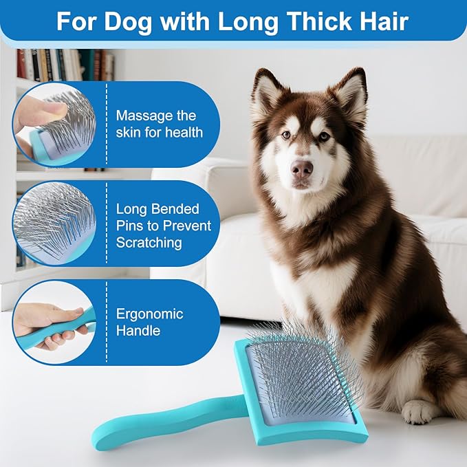 Slicker Brush for Dogs, Doodle & Poodle Brush for Long Haired Dog, Dog Slicker Brushes Goldendoodle Long Pin Detangler for Dematting (Large Curved)