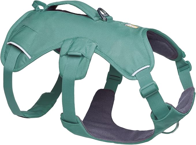 Ruffwear, Web Master, Multi-Use Support Dog Harness, Hiking and Trail Running, Service and Working, Everyday Wear, River Rock Green, Large/X-Large
