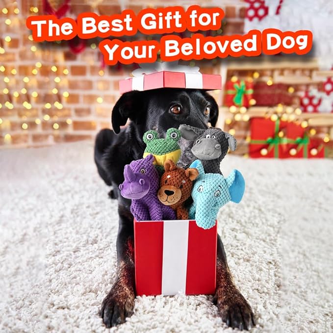 Act boldly 5 Pack Dog Squeak Toys, Durable Plush Chew Toys for Small, Medium & Large Dogs for Teething & Interactive Play