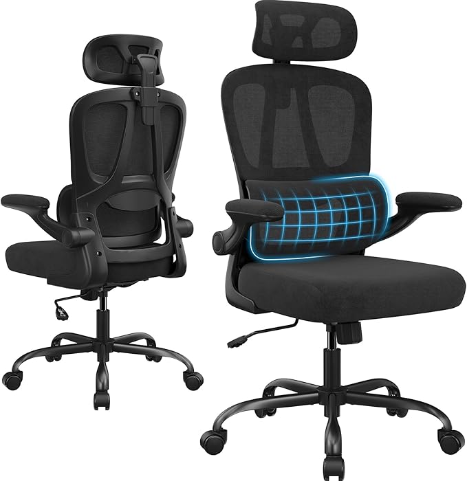 Farini Ergonomic Office Chair, Desk Chair with Headrest and Lumbar Support, High Back Swivel Home Office Chair with Headrest for Home Office Bedroom, Gifts, Black & Black