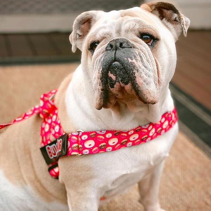 Adjustable Dog Harness– No Pull, No Choke – for English Bulldogs, French Bulldogs, Pugs & Broad-Chested Breeds – Easy, Safe Walks (Donuts, XL)
