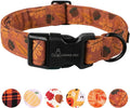 ARING PET Fall Dog Collar-Cute Orange Dog Collar for Small Dogs, Cotton Lightweight Dog Collars with Quick Release Buckle for Small Medium Large Dogs