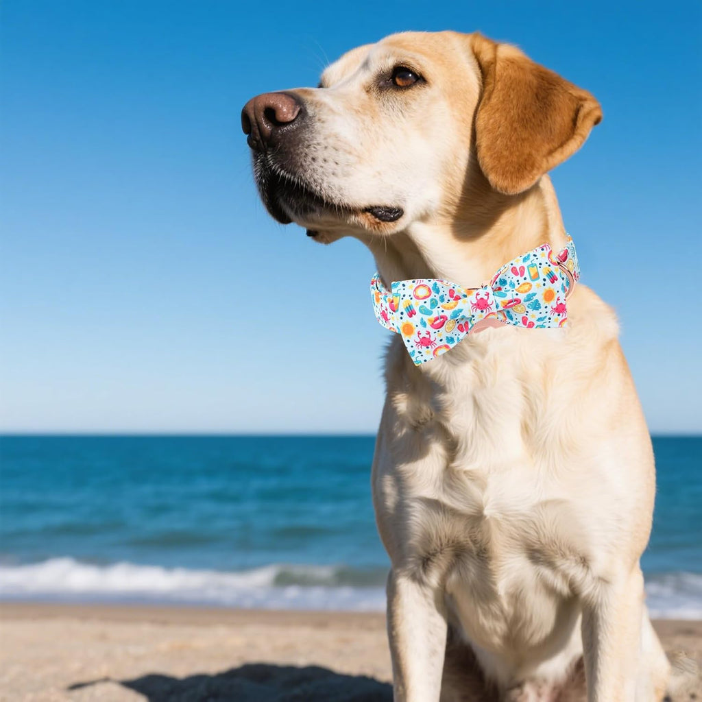 Unique style paws Cartoon Dog Collar with Bow Spring Summer Collar with Flower Lemon Crab for Small Medium Large Boys Girls Dogs