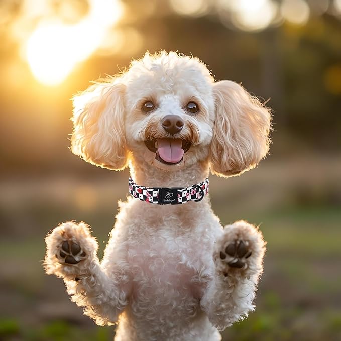 Valentines Dog Collar for Large Dogs - Unique Black White Plaid Girl Boy Valentine Heart Dog Collars, Adjustable Heavy Duty Pet Collar with Metal Buckle L