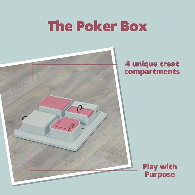 TRIXIE Cat Activity Poker Box Strategy Game, Slow Feeder, Interactive, Treat Toy,All Breed Sizes