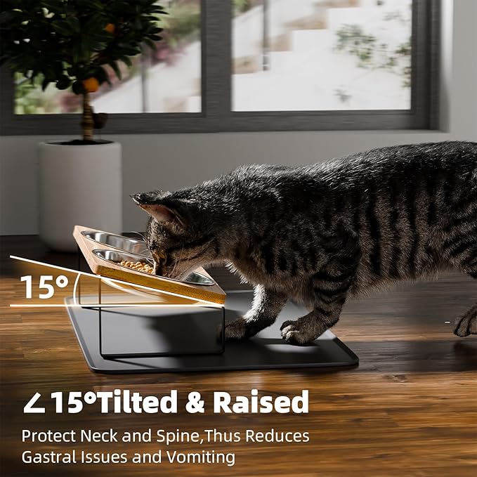 Elevated Whisker Friendly Cat Bowls, 15 Tilted Stand Anti Vomiting Raised Dishes for Food and Water, Stainless Steel Bowls for Cats and Puppy