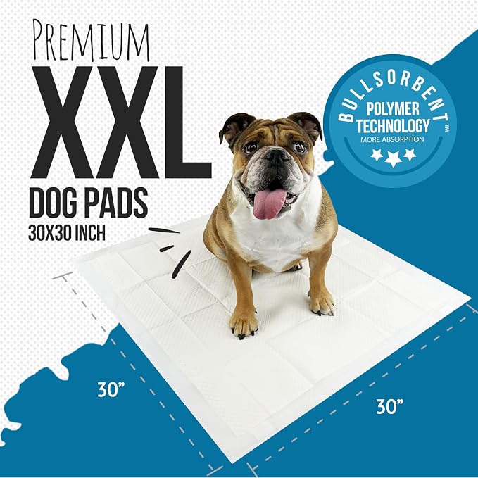 Bulldogology Puppy Pee Pads XXL with Adhesive Sticky Tape - Extra Large Dog Training Wee Pads (30x30) 6 Layers with Extra Quick Dry Bullsorbent Polymer Tech (30-Count, White)