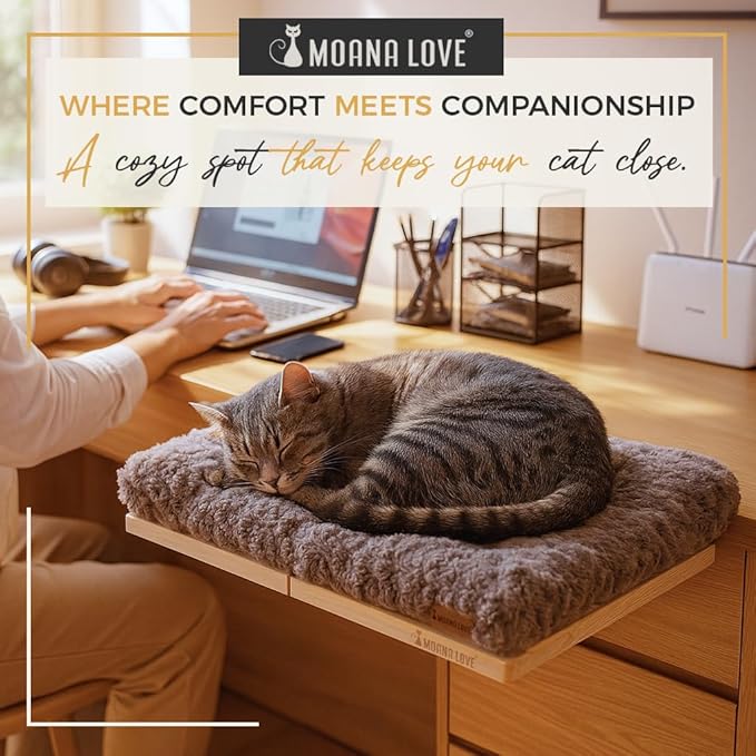 Cat Window Bed - Cozy Window Perch for Cats Inside - Stylish Cat Furniture with Soft Cushion, Perfect Kitten Bed & Cama para Gatos for Sunbathing, Hamaca para Gatos