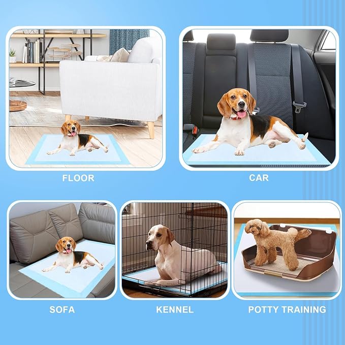 Extra Large Dog Pee Pads, 60 Pads 31"x36" Disposable Training Pads, Puppy Pads with high Absorbency and Leak-Proof Protection for House Training Cats,Rabbits,Dogs Leak-Proof Dog Pee Pads Extra Large