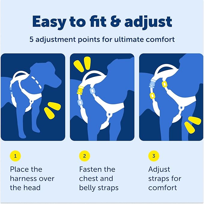 PetSafe Easy Walk Comfort No Pull Dog Harness, Blue, Extra Small | Stops Pulling on First Use with Front Martingale Loop, Full-Body Padding, 5-Point Adjustable Fit