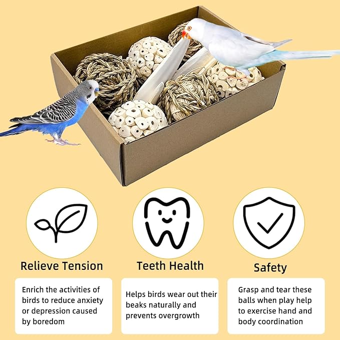 Bird Toys Sola Balls Parakeet Toys Soft Natural Chew Grass Balls with Cuttlebone for Parrots Conures Rabbits Hamster Guinea Pig Chinchilla (Style 1, 10 PCS)