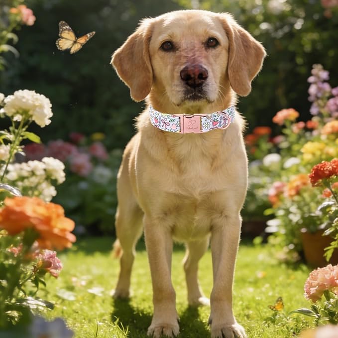 Cute Dog Collar, Spring Summer Pastel Dog Collars, Fruit Garden Dream Puppy Collar, Adjustable Heavy Duty Pet Collar for Small Medium Large Dogs with Metal Buckle L