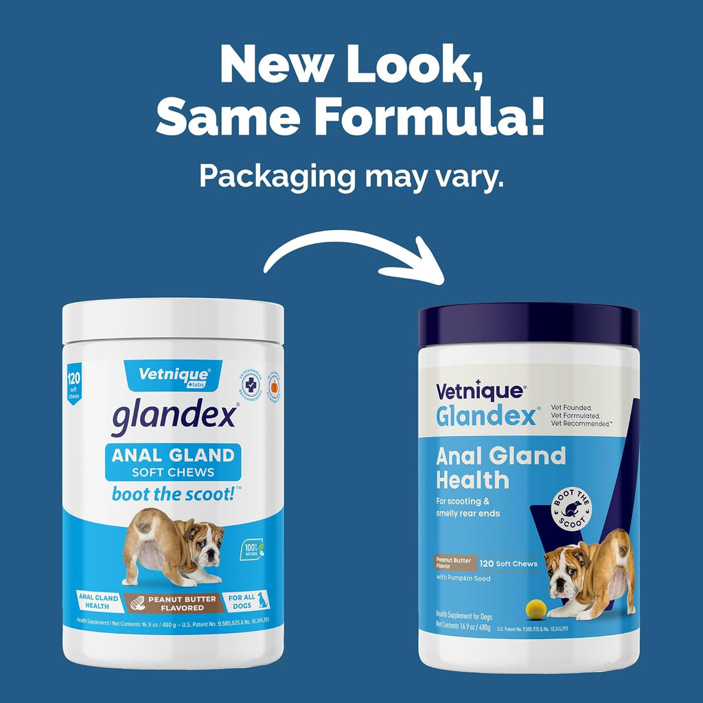 Vetnique Glandex Anal Gland Soft Chew Treats with Pumpkin for Dogs Digestive Enzymes, Probiotics Fiber Supplement for Dogs Boot The Scoot (Peanut Butter Chews, 120 Count)