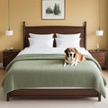 H.VERSAILTEX Plush Chenille Couch Cover for Dogs Pets Blanket for Bed Anti-Slip Soft and Durable Furniture Protector for Small Medium Large Cats Washable (52" x 82", Sage)