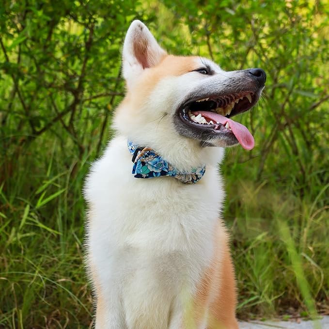 Faleela Cute Soft Girl Dog Collar with Bow, Bowtie Dog Collar for Boy,Detachable Adjustable Collar for Small Medium Large Pet